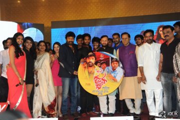 Gaddam Gang Movie Audio Launch
